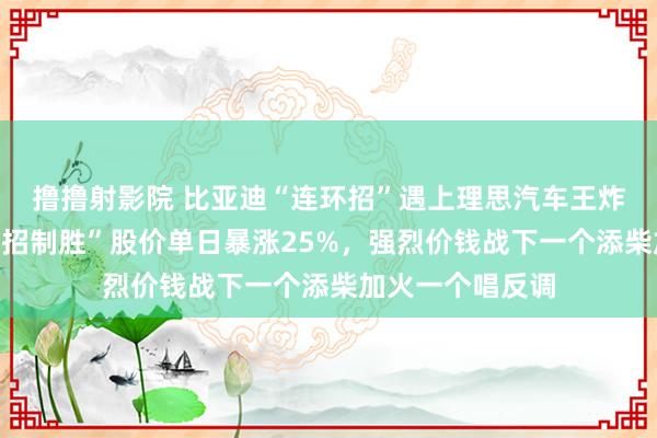 撸撸射影院 比亚迪“连环招”遇上理思汽车王炸事迹：后者“一招制胜”股价单日暴涨25%，强烈价钱战下一个添柴加火一个唱反调