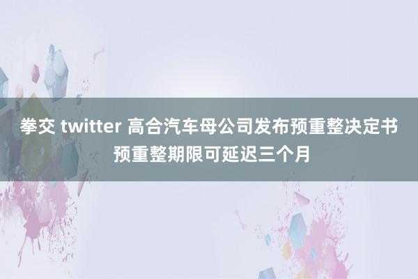 拳交 twitter 高合汽车母公司发布预重整决定书 预重整期限可延迟三个月