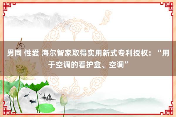 男同 性愛 海尔智家取得实用新式专利授权：“用于空调的看护盒、空调”