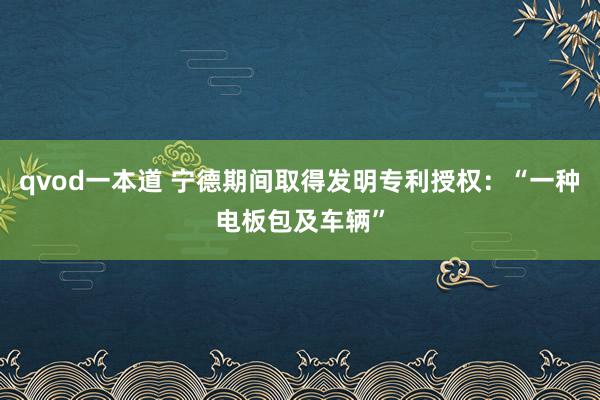 qvod一本道 宁德期间取得发明专利授权：“一种电板包及车辆”