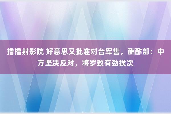 撸撸射影院 好意思又批准对台军售，酬酢部：中方坚决反对，将罗致有劲挨次