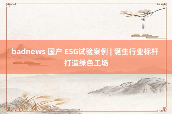 badnews 国产 ESG试验案例 | 诞生行业标杆 打造绿色工场