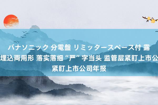 パナソニック 分電盤 リミッタースペース付 露出・半埋込両用形 落实落细“严”字当头 监管层紧盯上市公司年报