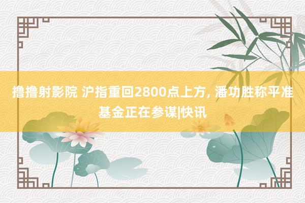 撸撸射影院 沪指重回2800点上方， 潘功胜称平准基金正在参谋|快讯