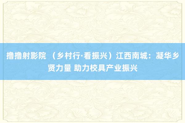 撸撸射影院 （乡村行·看振兴）江西南城：凝华乡贤力量 助力校具产业振兴