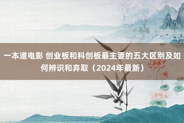 一本道电影 创业板和科创板最主要的五大区别及如何辨识和弃取（2024年最新）