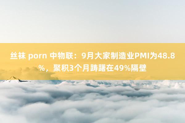 丝袜 porn 中物联：9月大家制造业PMI为48.8%，聚积3个月踌躇在49%隔壁