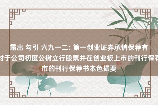 露出 勾引 六九一二: 第一创业证券承销保荐有限包袱公司对于公司初度公树立行股票并在创业板上市的刊行保荐书本色撮要