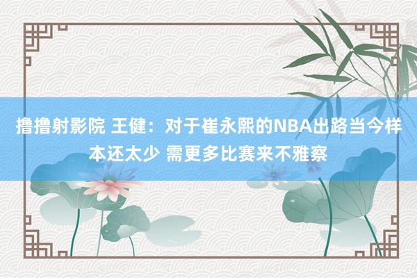 撸撸射影院 王健：对于崔永熙的NBA出路当今样本还太少 需更多比赛来不雅察