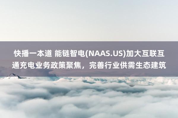 快播一本道 能链智电(NAAS.US)加大互联互通充电业务政策聚焦，完善行业供需生态建筑