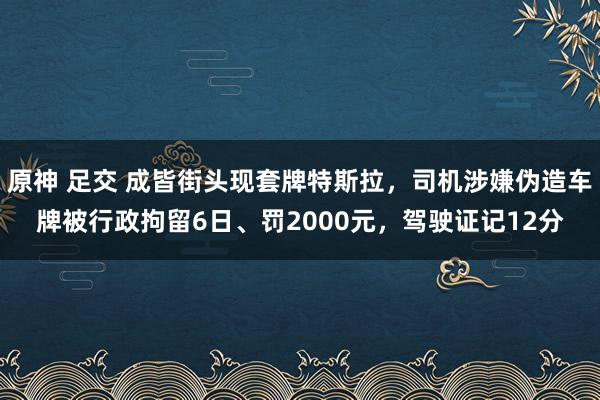 原神 足交 成皆街头现套牌特斯拉，司机涉嫌伪造车牌被行政拘留6日、罚2000元，驾驶证记12分