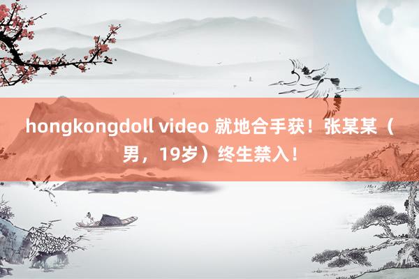 hongkongdoll video 就地合手获！张某某（男，19岁）终生禁入！