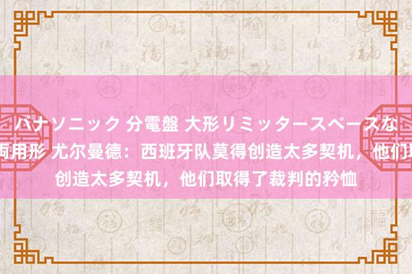 パナソニック 分電盤 大形リミッタースペースなし 露出・半埋込両用形 尤尔曼德：西班牙队莫得创造太多契机，他们取得了裁判的矜恤