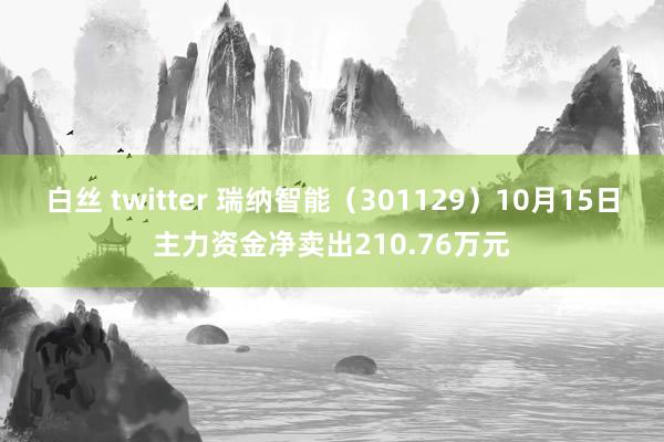 白丝 twitter 瑞纳智能（301129）10月15日主力资金净卖出210.76万元