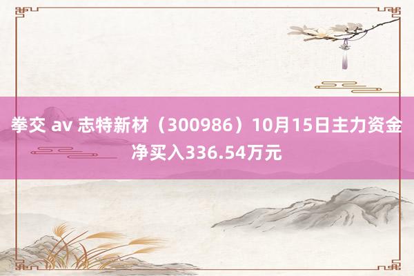 拳交 av 志特新材（300986）10月15日主力资金净买入336.54万元