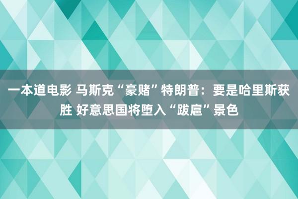 一本道电影 马斯克“豪赌”特朗普：要是哈里斯获胜 好意思国将堕入“跋扈”景色