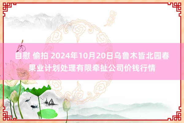 自慰 偷拍 2024年10月20日乌鲁木皆北园春果业计划处理有限牵扯公司价钱行情