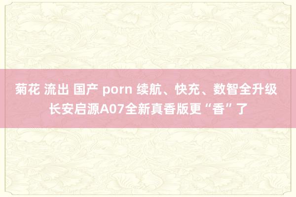 菊花 流出 国产 porn 续航、快充、数智全升级 长安启源A07全新真香版更“香”了