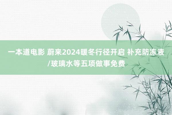 一本道电影 蔚来2024暖冬行径开启 补充防冻液/玻璃水等五项做事免费