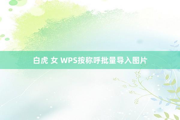 白虎 女 WPS按称呼批量导入图片