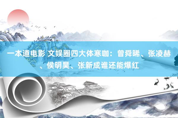 一本道电影 文娱圈四大体寒咖：曾舜晞、张凌赫、侯明昊、张新成谁还能爆红