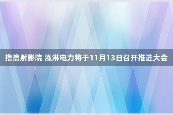 撸撸射影院 泓淋电力将于11月13日召开推进大会