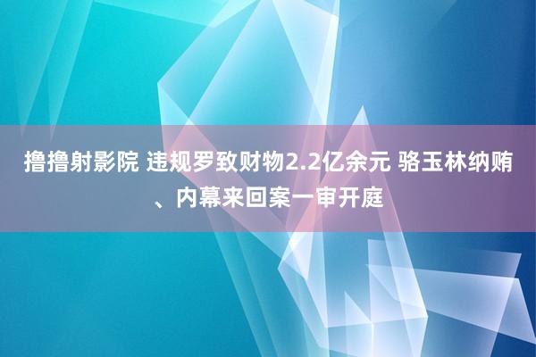 撸撸射影院 违规罗致财物2.2亿余元 骆玉林纳贿、内幕来回案一审开庭