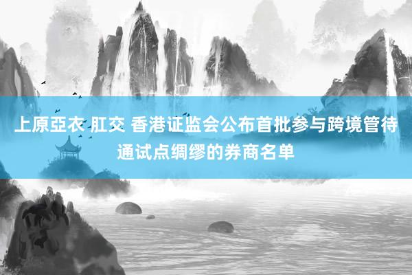 上原亞衣 肛交 香港证监会公布首批参与跨境管待通试点绸缪的券商名单