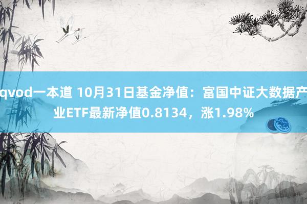 qvod一本道 10月31日基金净值：富国中证大数据产业ETF最新净值0.8134，涨1.98%