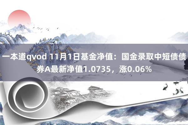 一本道qvod 11月1日基金净值：国金录取中短债债券A最新净值1.0735，涨0.06%