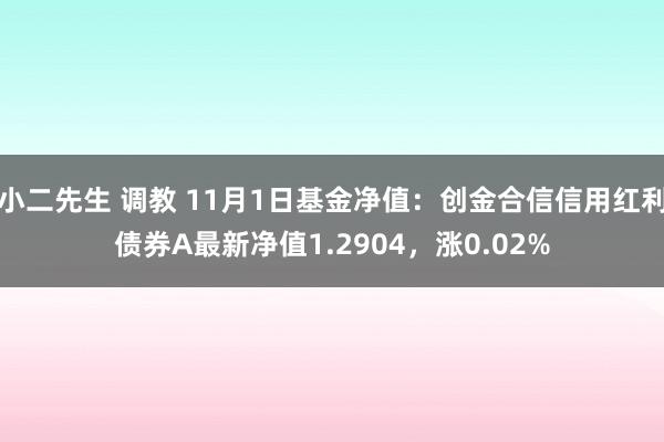 小二先生 调教 11月1日基金净值：创金合信信用红利债券A最新净值1.2904，涨0.02%