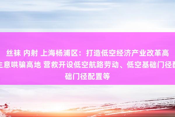 丝袜 内射 上海杨浦区：打造低空经济产业改革高地和生意哄骗高地 营救开设低空航路劳动、低空基础门径配置等