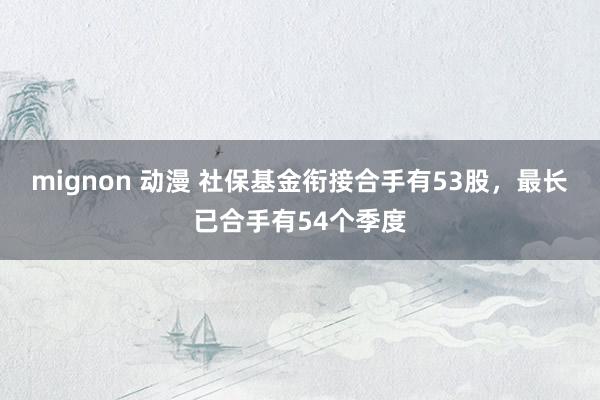 mignon 动漫 社保基金衔接合手有53股，最长已合手有54个季度