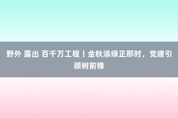 野外 露出 百千万工程丨金秋添绿正那时，党建引颈树前锋