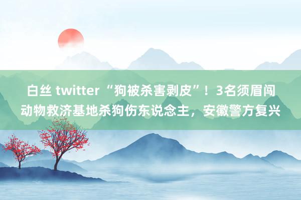 白丝 twitter “狗被杀害剥皮”！3名须眉闯动物救济基地杀狗伤东说念主，安徽警方复兴