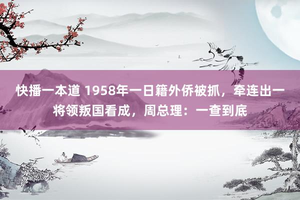 快播一本道 1958年一日籍外侨被抓，牵连出一将领叛国看成，周总理：一查到底