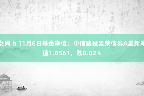 女同 h 11月6日基金净值：中信建投景荣债券A最新净值1.0561，跌0.02%