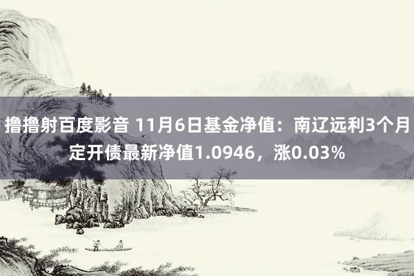 撸撸射百度影音 11月6日基金净值：南辽远利3个月定开债最新净值1.0946，涨0.03%