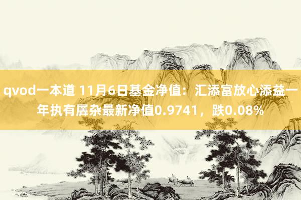 qvod一本道 11月6日基金净值：汇添富放心添益一年执有羼杂最新净值0.9741，跌0.08%