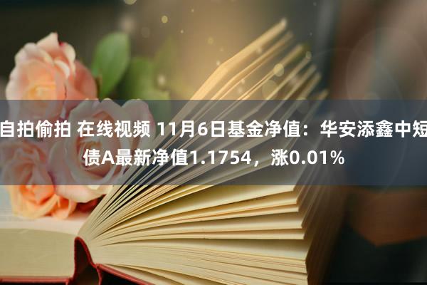 自拍偷拍 在线视频 11月6日基金净值：华安添鑫中短债A最新净值1.1754，涨0.01%