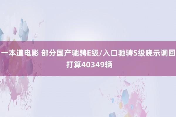 一本道电影 部分国产驰骋E级/入口驰骋S级晓示调回 打算40349辆