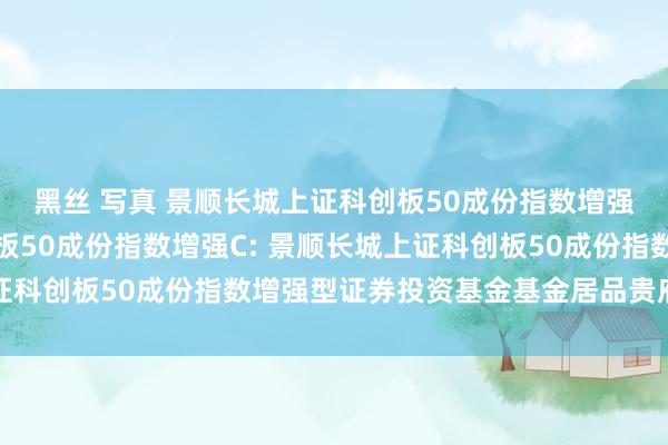 黑丝 写真 景顺长城上证科创板50成份指数增强A，景顺长城上证科创板50成份指数增强C: 景顺长城上证科创板50成份指数增强型证券投资基金基金居品贵府摘要更新