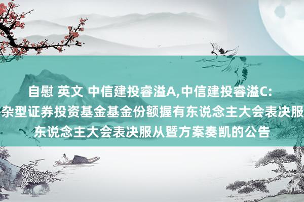 自慰 英文 中信建投睿溢A，中信建投睿溢C: 对于中信建投睿溢搀杂型证券投资基金基金份额握有东说念主大会表决服从暨方案奏凯的公告