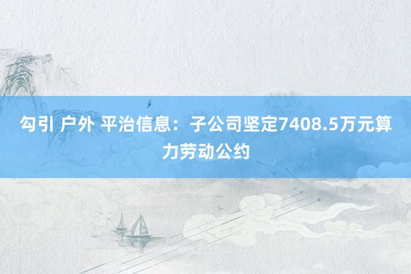 勾引 户外 平治信息：子公司坚定7408.5万元算力劳动公约