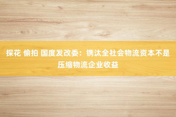 探花 偷拍 国度发改委：镌汰全社会物流资本不是压缩物流企业收益