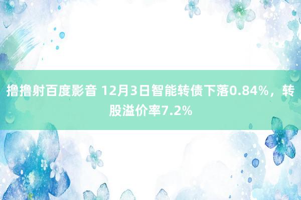 撸撸射百度影音 12月3日智能转债下落0.84%，转股溢价率7.2%