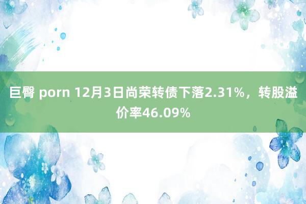 巨臀 porn 12月3日尚荣转债下落2.31%，转股溢价率46.09%