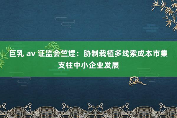 巨乳 av 证监会竺煜：胁制栽植多线索成本市集支柱中小企业发展