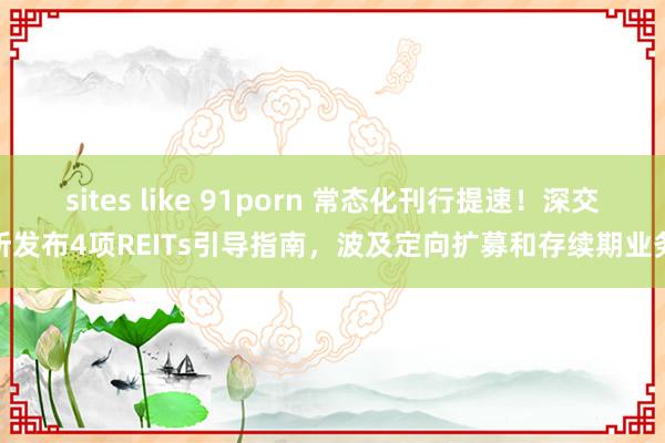 sites like 91porn 常态化刊行提速！深交所发布4项REITs引导指南，波及定向扩募和存续期业务