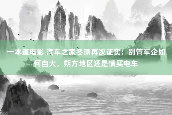 一本道电影 汽车之家冬测再次证实：别管车企如何自大，朔方地区还是慎买电车